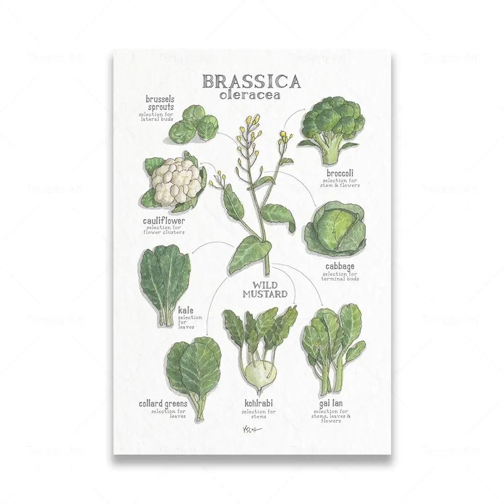 

Овощной гриб Омар зерно свекла образование живопись плакаты на скандинавскую тему и принты настенные художественные фотографии для детской комнаты, кухонный декор 21x30cm No Framed