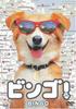 Audio/Video – Filmy