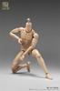 Spielzeug & Hobby [TOYBARJAPAN] 1/6 Maßstab Actionfigur ALERT LINE AL100046 Männlicher Körper