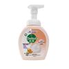 Dettol Hyaluronic Acid Foam Hand Soap