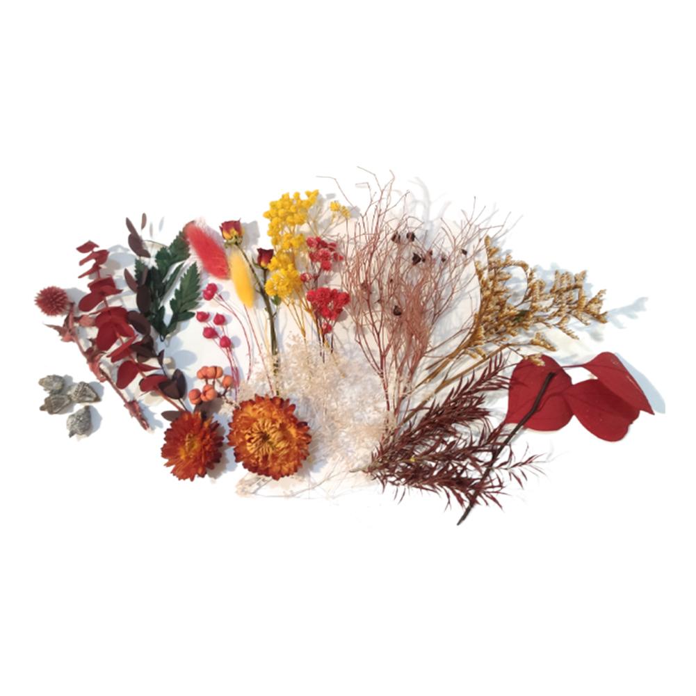 Dried Flowers Packet Mixed Dried Flowers Multifunction Pressed Flower Leaves Bulk Natural for Resin Candle Art Craft Work красный
