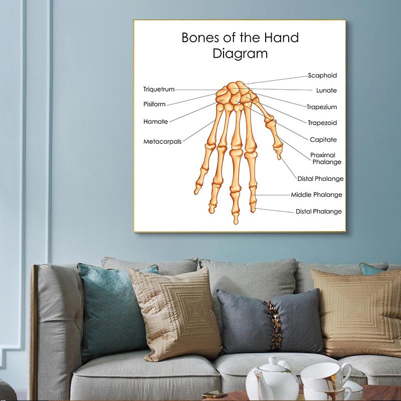 Human Organs Brain Liver Heart Anatomy Poster Print Canvas Painting Human Body Map Medical Classroom Office Room Home Decoration