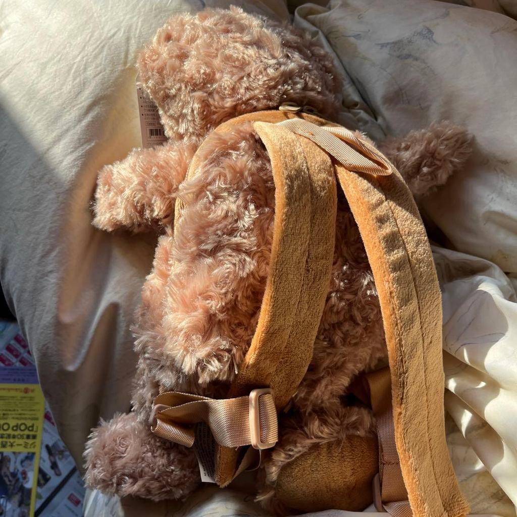 [USED] Daiso's teddy bear backpack