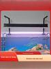 Peixes e animais aquáticos – Iluminação de aquário