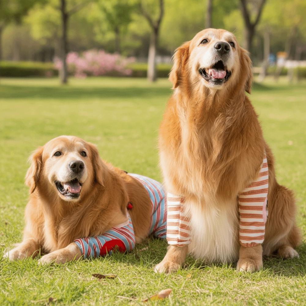 Striped Design Dog Elbow Brace Cartoon Pattern Dog Leg Warmers Dog Knee Pads Autumn Winter