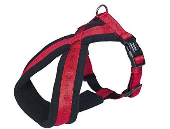 nobby dog harness