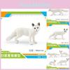 Premium White Arctic Fox Model Collection Set Of Four Realistic Static Pvc Figurines For Kids