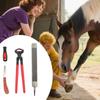 Hufzangen Hufschneidewerkzeug für Ponys Ergonomisches Multifunktions-Nagelhandflächen-Set für die Pferdepflege und das Scheren