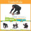 Realistic Pvc Gorilla And Baboon Animal Model Collection For Display And Collecting