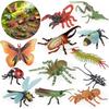Animal Model Toys Set: Bee, Spider, Centipede, Mantis, Grasshopper, Dragonfly, Butterfly, Beetle, Scorpion, Ant.