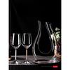 European Crystal Red Wine Glass Set with Rotating Decanter