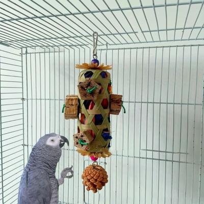 Bite Resistant Pet Bird Chew Toy Bamboo Woven Colorful Cornhusk Pinecone Toy Hanging Teeth Grinding Toy for African Birds