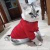 Spring Autumn Fleece Sphynx Cat Hoodie Classic Solid Pet Sweater for Cats Gotas Chinchilla Pullovers Mascotas Clothes Outfits