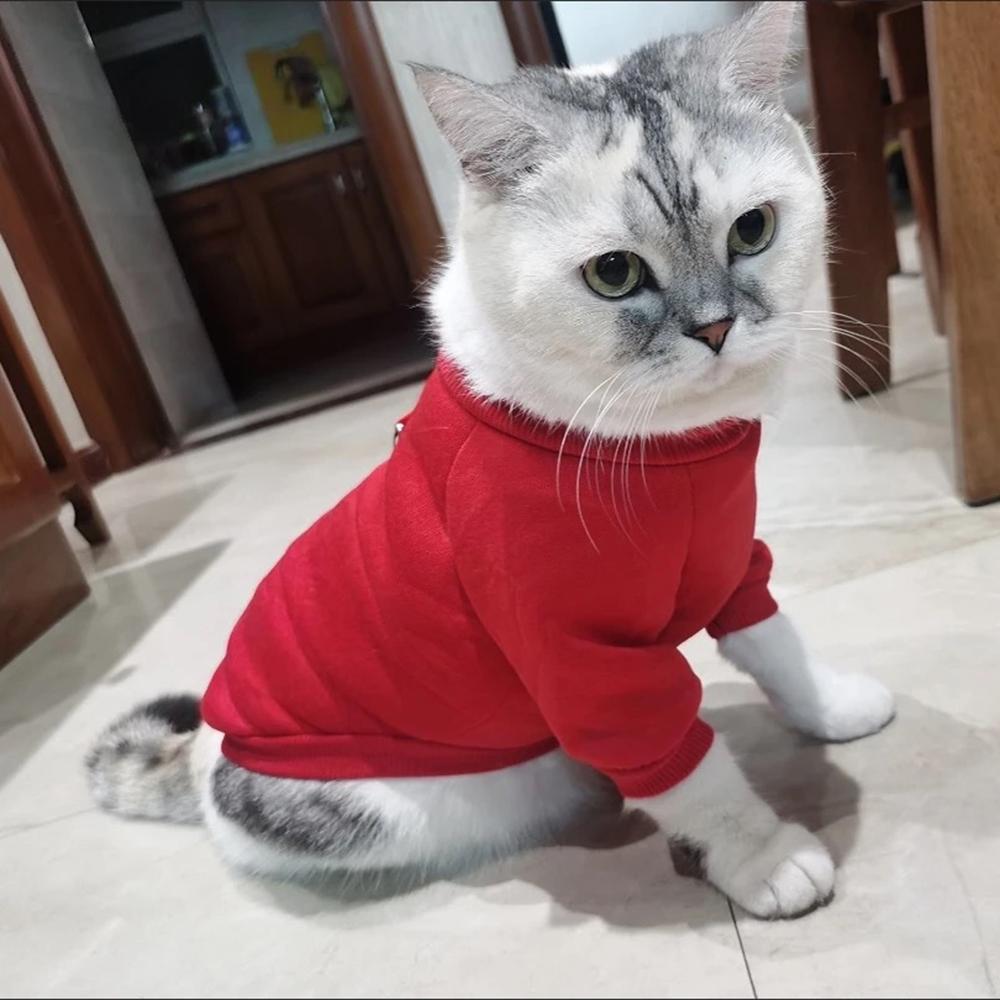 Spring Autumn Fleece Sphynx Cat Hoodie Classic Solid Pet Sweater for Cats Gotas Chinchilla Pullovers Mascotas Clothes Outfits