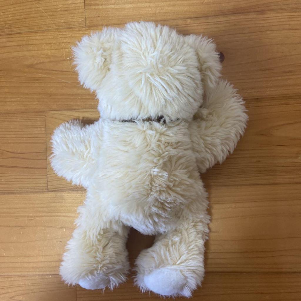 [USED] Steiff Teddy Bear Bobby 013461 Sweetheart 109904