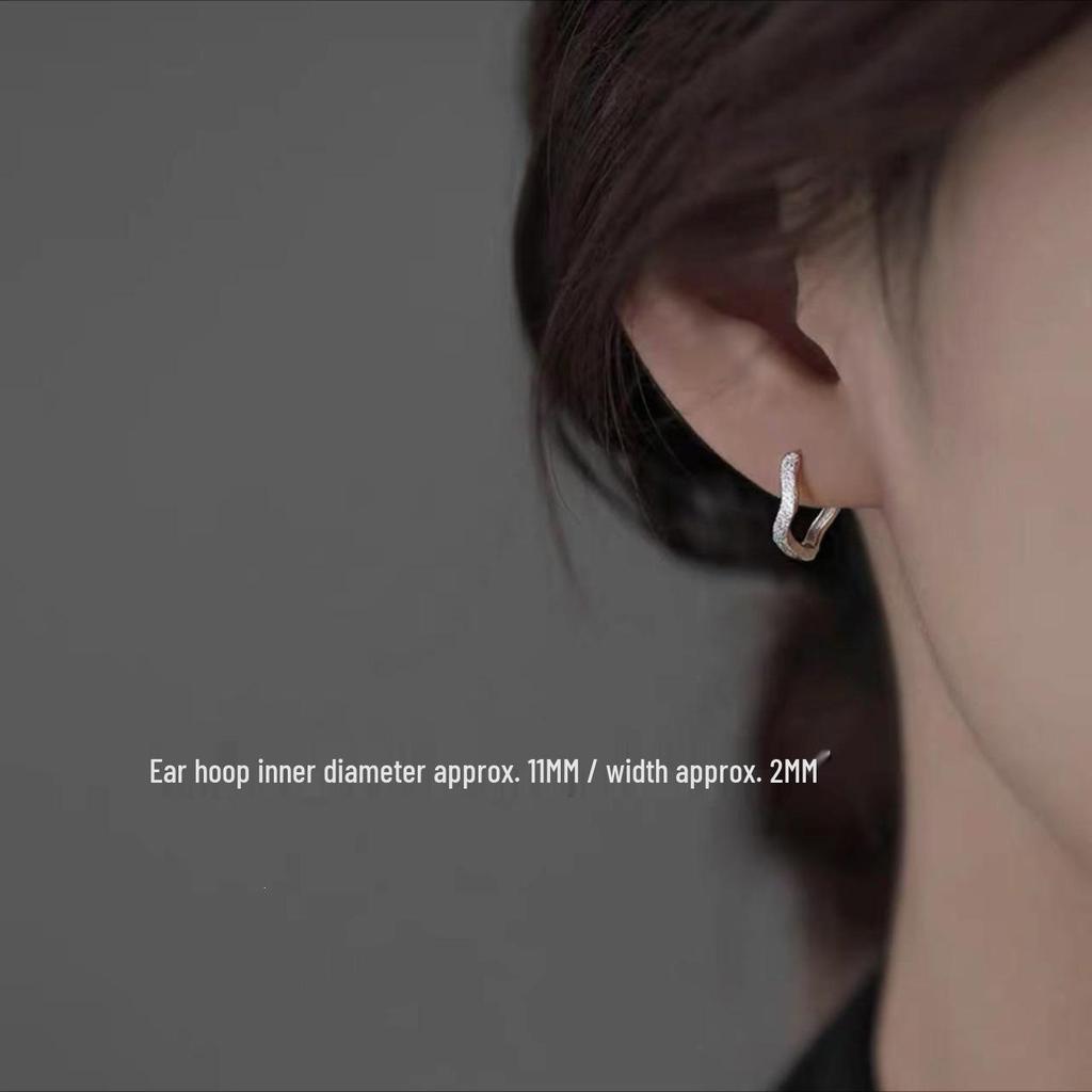 2023 Best-Selling Women's Light Luxury 925 Sterling Silver Circle Stud Earrings