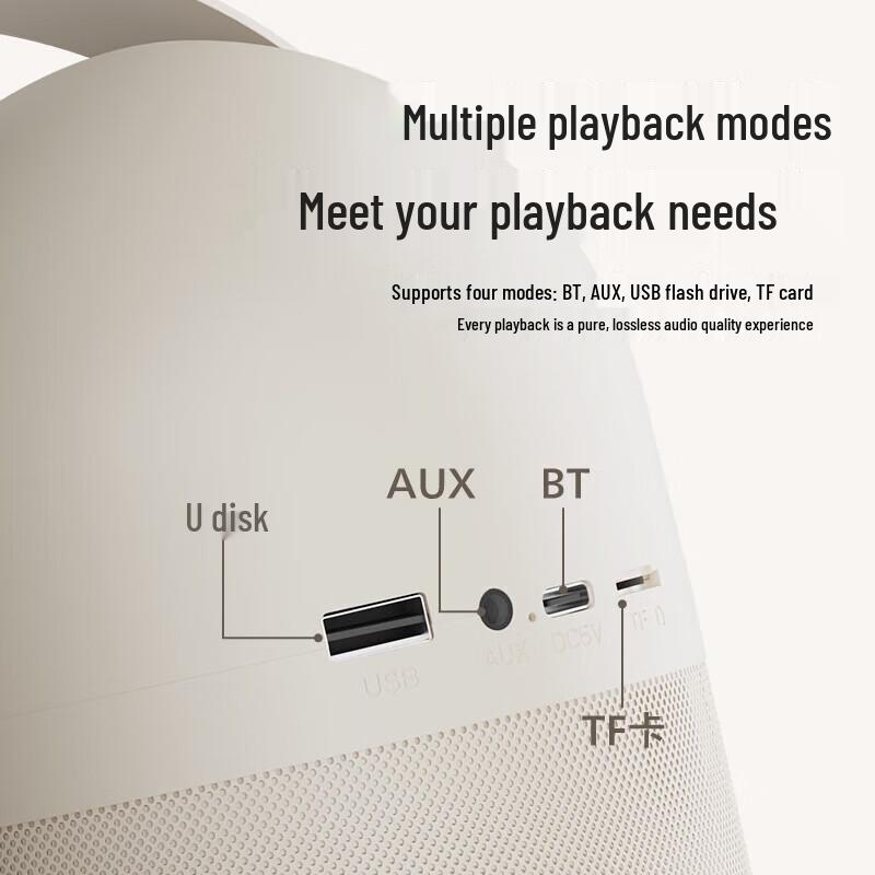 Philips TAS2508 Bluetooth Karaoke Speaker CN plug (adapter included)