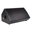 TAKSTAR ELV-121M 12-inch Bass Monitor Speaker