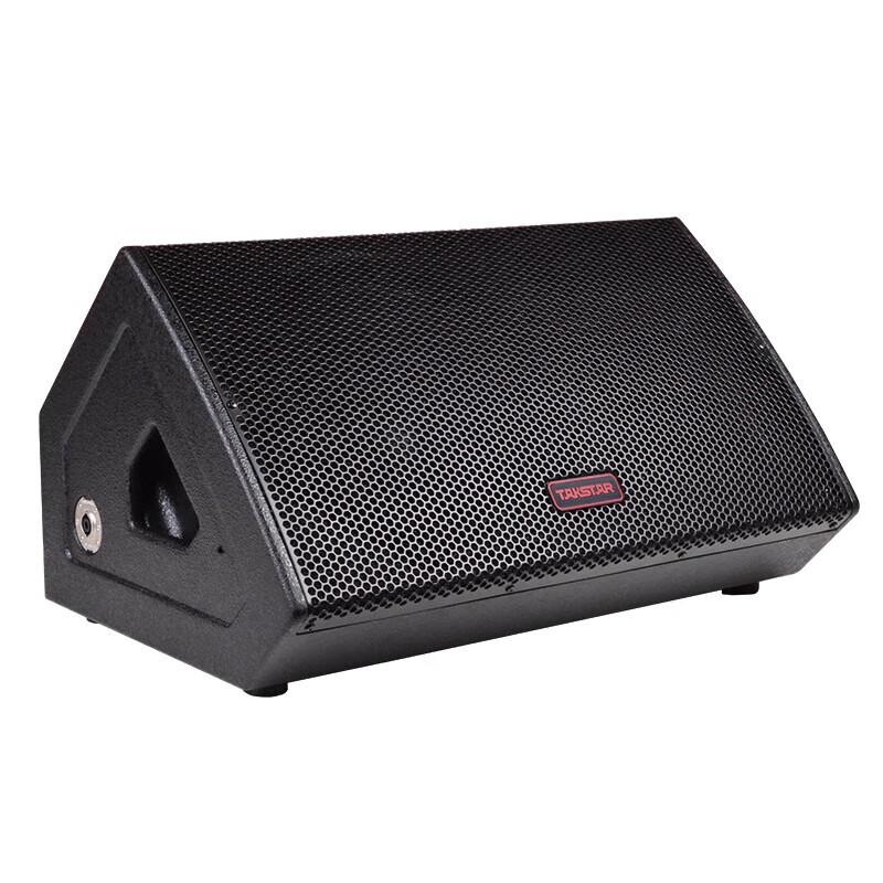 TAKSTAR ELV-121M 12-inch Bass Monitor Speaker