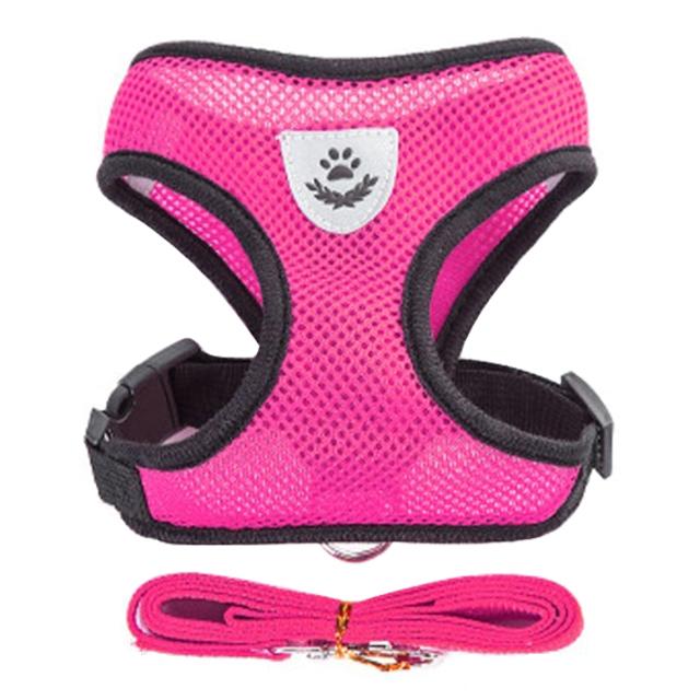 Cat Harness Adjustable Vest Walking Traction Rope Set for Dog Collar Breathable Mesh Harness for Small Medium Cat Dog Pet Lead