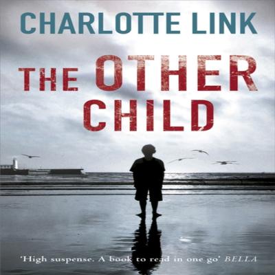 The Other Child by Charlotte Link Paperback Book 9781409121213
