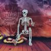 2Pcs Skeletons Decorations Full Body Posable Joints 16'' Skeletons For Halloween