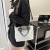 Stylish Winter Embroidered Crossbody Shoulder Bag For Women 2023 Trendy Quilted Handbag