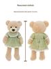 Jenny Series Plush Doll: Bear & Rabbit Clothing Style, Perfect Children's Gift & Companion