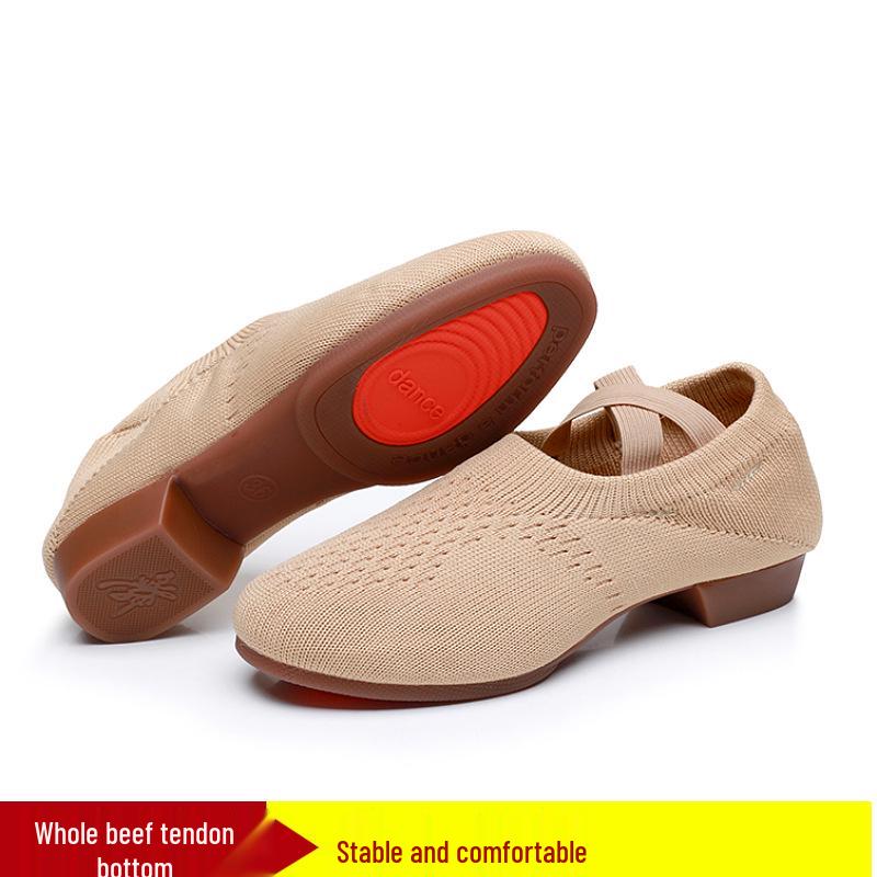 Flyknit Mesh Soft Sole Jazz & Latin Dance Shoes for Women