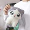 Stuffed Animal Cat Plush Toys Big Eyed Cute Kitten Doll Cuddly Cat Stuffed Doll  Children's Gifts