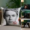 Singer Pillow Case Sofa Living Room Bedroom Double-Sided Printing N-Niall Horan Square Cushion Nap Time Pillow Case