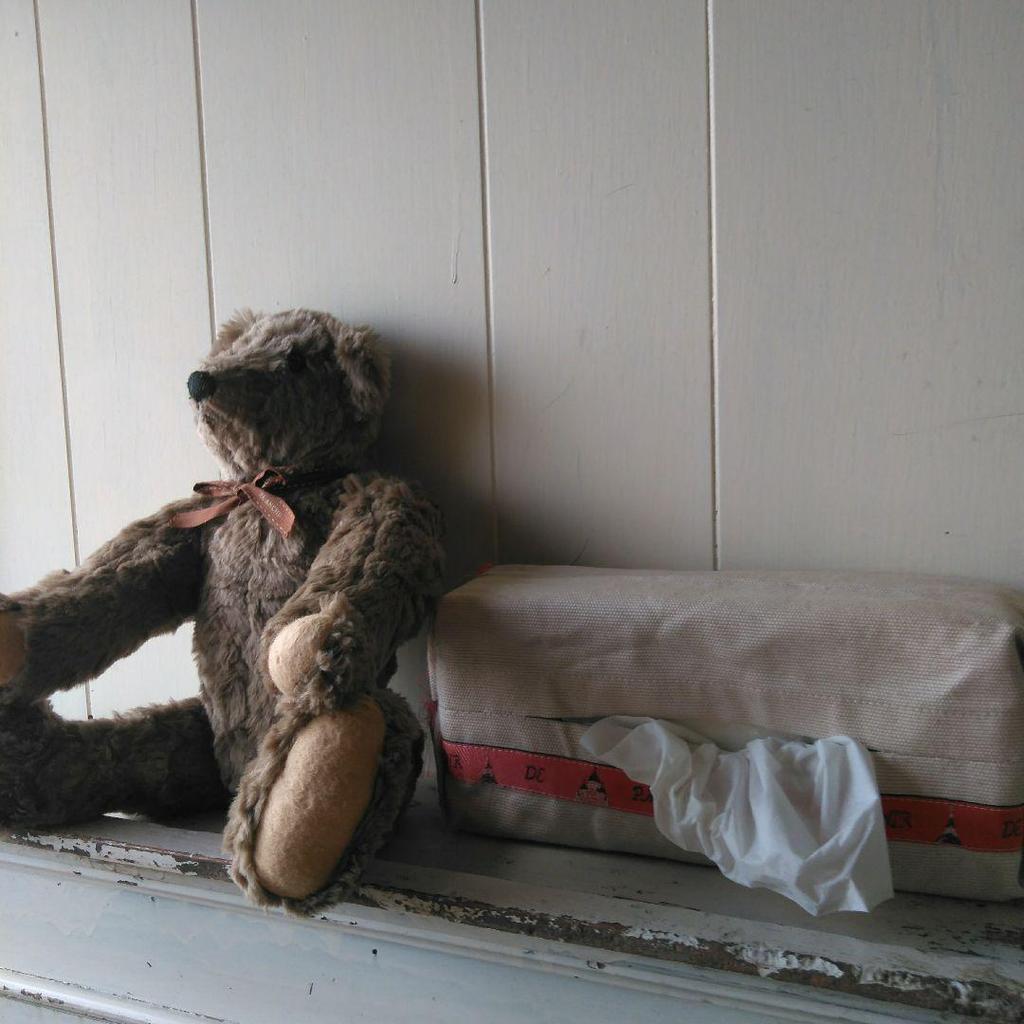 [USED] Teddy Bear with Moving Limbs