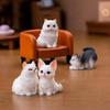 12pcs Detail Cats Model Figure Child Safe Decorative Figurine For Miniature Scene Display And Collector Doll House Props