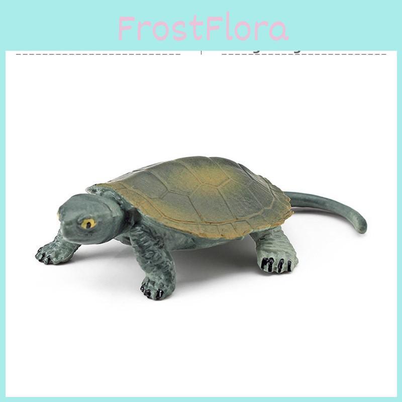 Amphibien Reptilien Schildkröten PVC Figuren Set Mit Authentischem Design Für Pädagogische Und Ausstellungszwecke