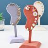 1Pcs Earring Display Stand Fashion Ear-shaped Ear Clip Stud Jewelry Display Organizer Holder Earrings Pendants Jewelry Rack Ear Model