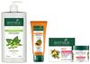 Biotique Bio Soya Protein Fresh Nourishing Shampoo, 650ml&Biotique Fruit Brightening Depigmentation & Tan Removal Face Pack, 75gm&Biotique Papaya
