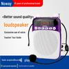 NORWII S308 Tragbarer Sprachverstärker (CN-Version)