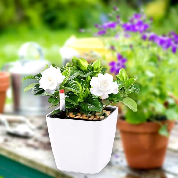 Plastic Self Watering Flowerpot Lazy Desktop Rectangular Square Plant Flower Pots with Water Level Indicators for Office