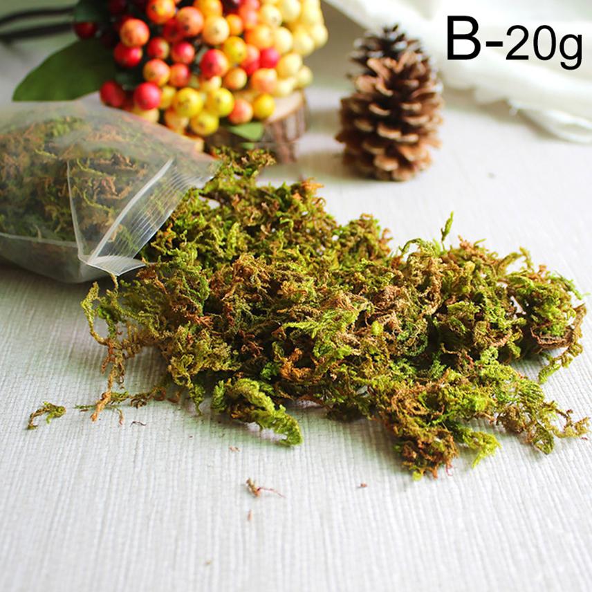 High Quality Artificial Moss Lichen Simulation Green Plants Fake Flowers Moss Micro Landscape Home Garden Decor 20g/50g/100g