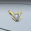 Metalowa Naklejka na Karoserię Samochodu 3D Emblemat Odznaka Tylny Bagażnik Naklejka do Citroen C1 C2 C3 C4 C5 C6 C8 C4L DS3 DS4 DS5 DS5LS Akcesoria