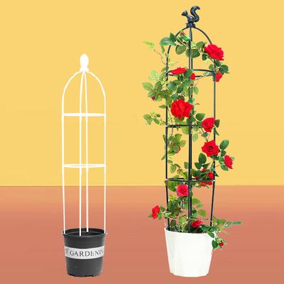 1Set Climbing Plant Trellis Garden Support Cages For Flowers Plants Climbing Support Frame Trellis Diy Vines Pot Plant Stand