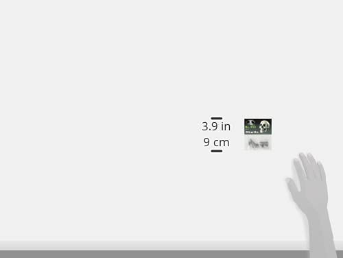 Royal Model 1/20 Skull (90mm) 4-Piece Resin Kit RM913