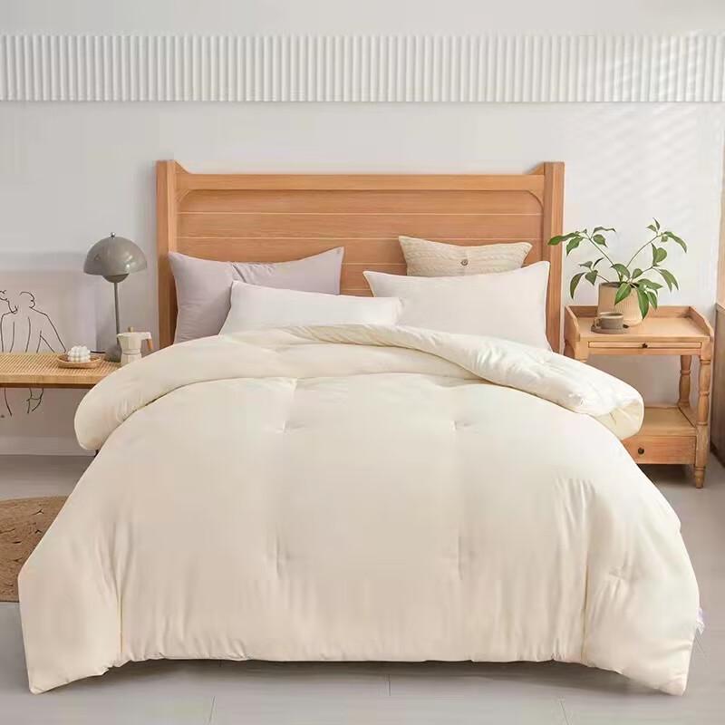 

SANLOUIS Washable Soft Fiber Quilt