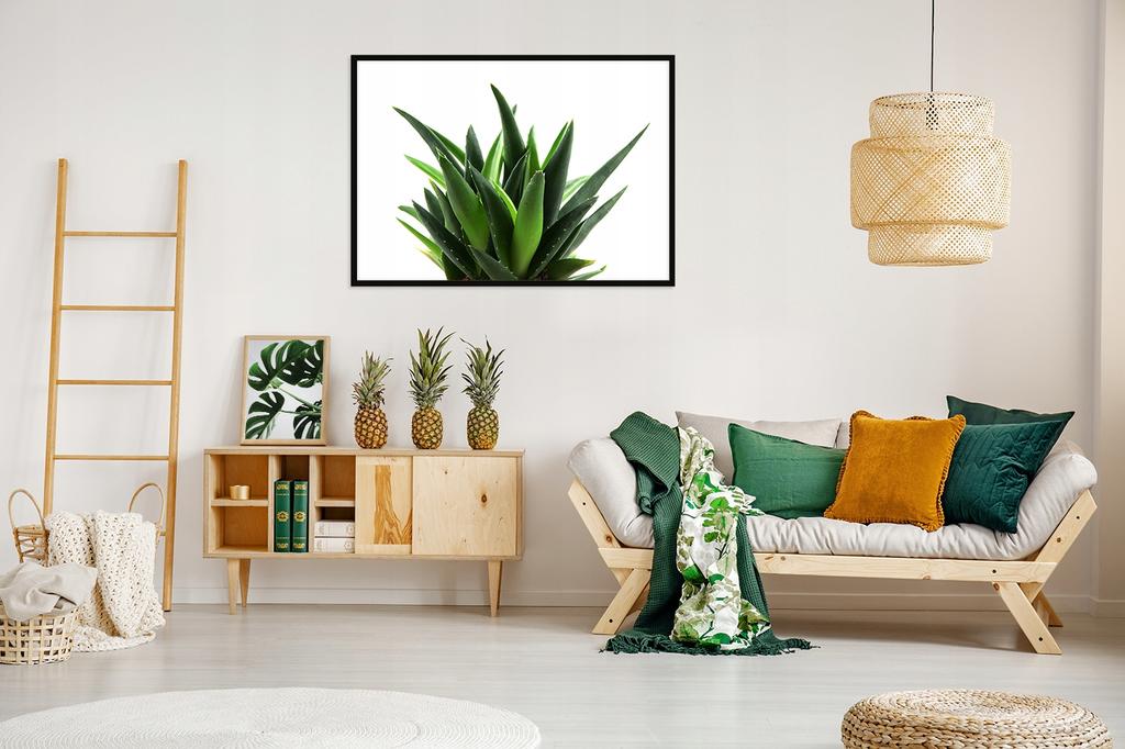 Picture Poster In a Frame 53x73 Cm Leaves P1126