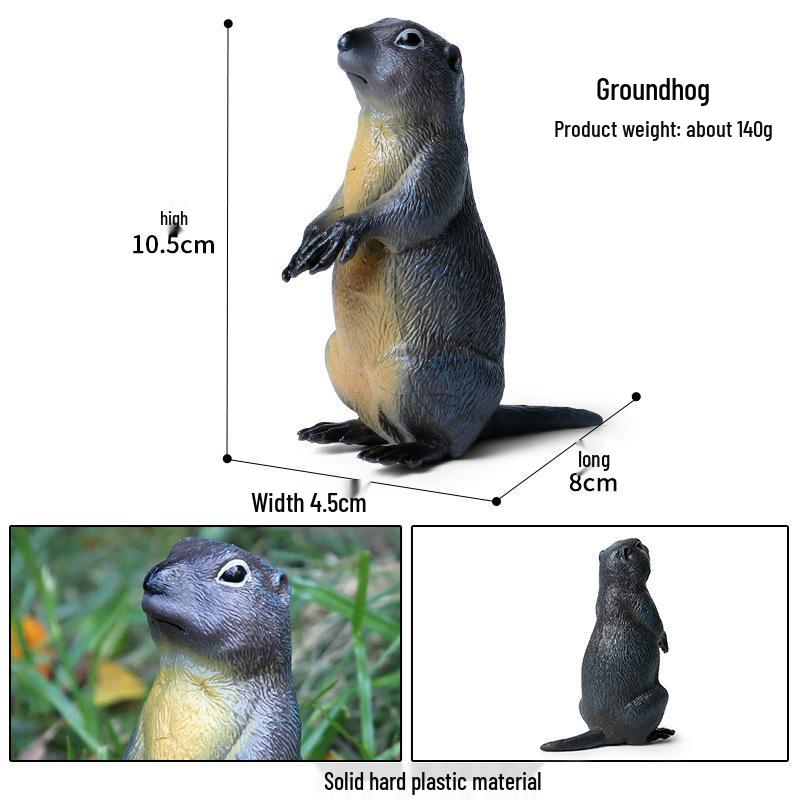 Simulation Animal Model Toys - Mouse, Marmot, Flying Squirrel, Naked Mole Rat, Squirrel, Weasel, Golden Hamster Ornaments