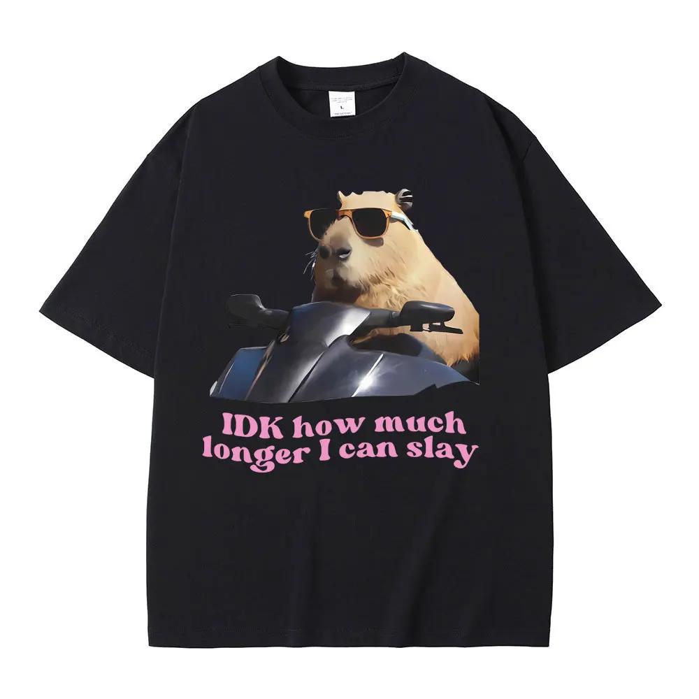 Ich weiß nicht, wie viel länger ich noch slayen kann. Lustige Capybara Meme Grafik T-Shirts Damen Lässig Gemütlich Kurzarm Damen T-Shirts
