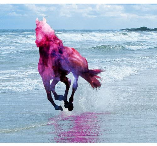 

CD ANR (AWESOME NEW REPUBLIC) - Stay Kids RYECD098 Non Japan Rock Used