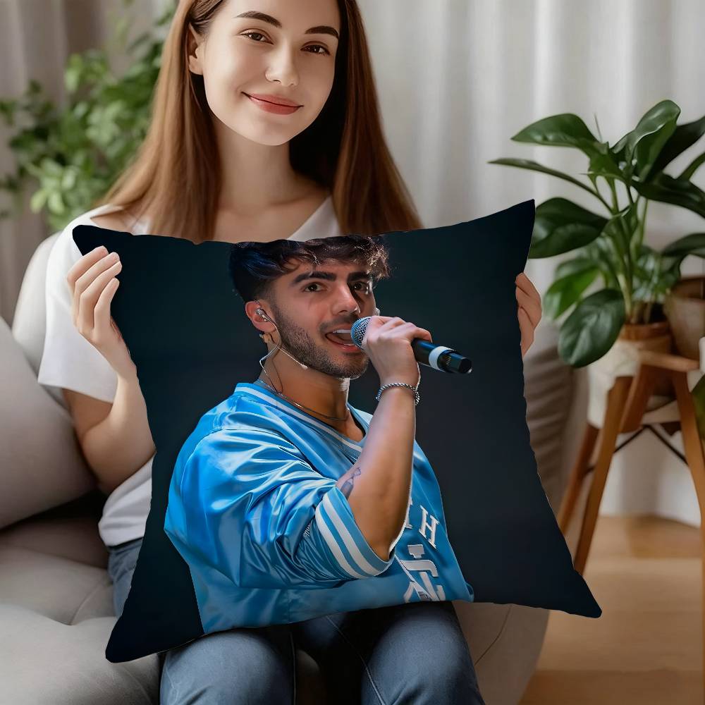 Internet Celebrity Fede V-Vigevani Pillow Case Plush Fabric Soft Pillowcase Double Sided Print Cushion Cover Household Gifts