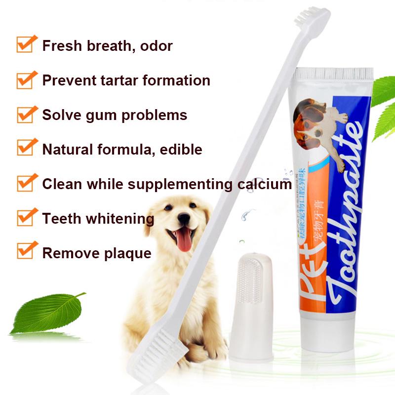 non toxic dog toothpaste