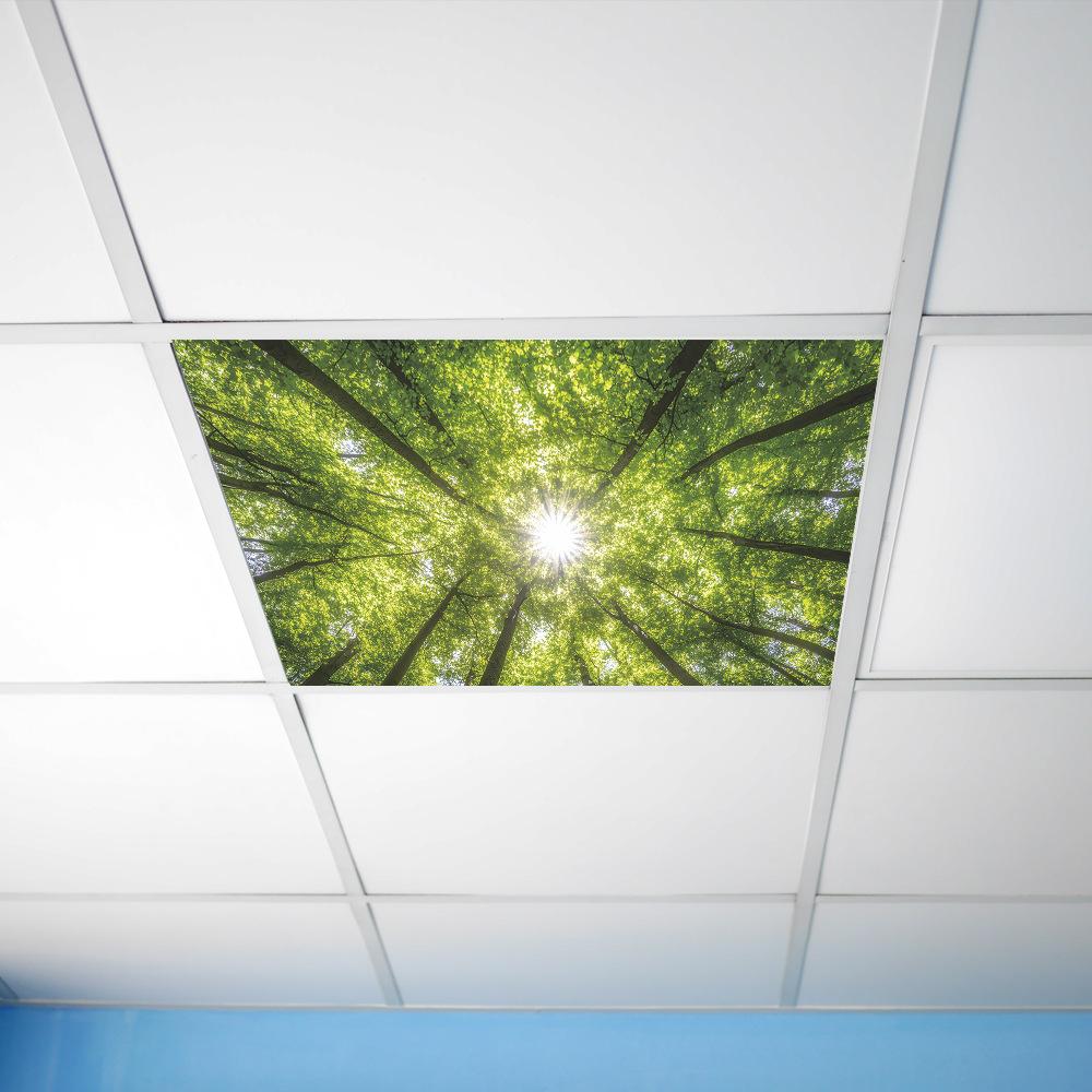Spring Sunshine Forest Ceiling Roof Bedroom Living Room Home Beautification Stickers